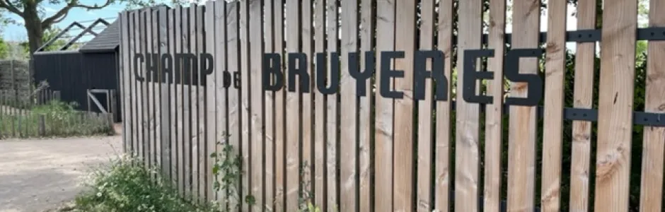 Bruyeres